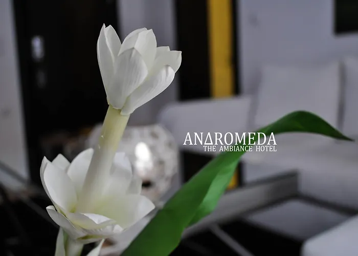 Otel Andromeda 4*