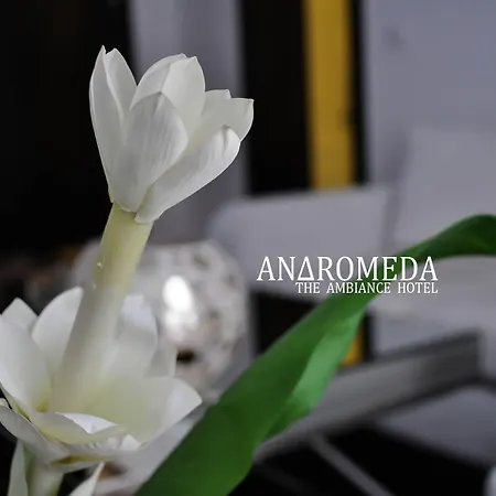 Ξενοδοχείο Andromeda 4*